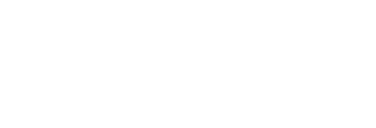 Logo Reizee branco
